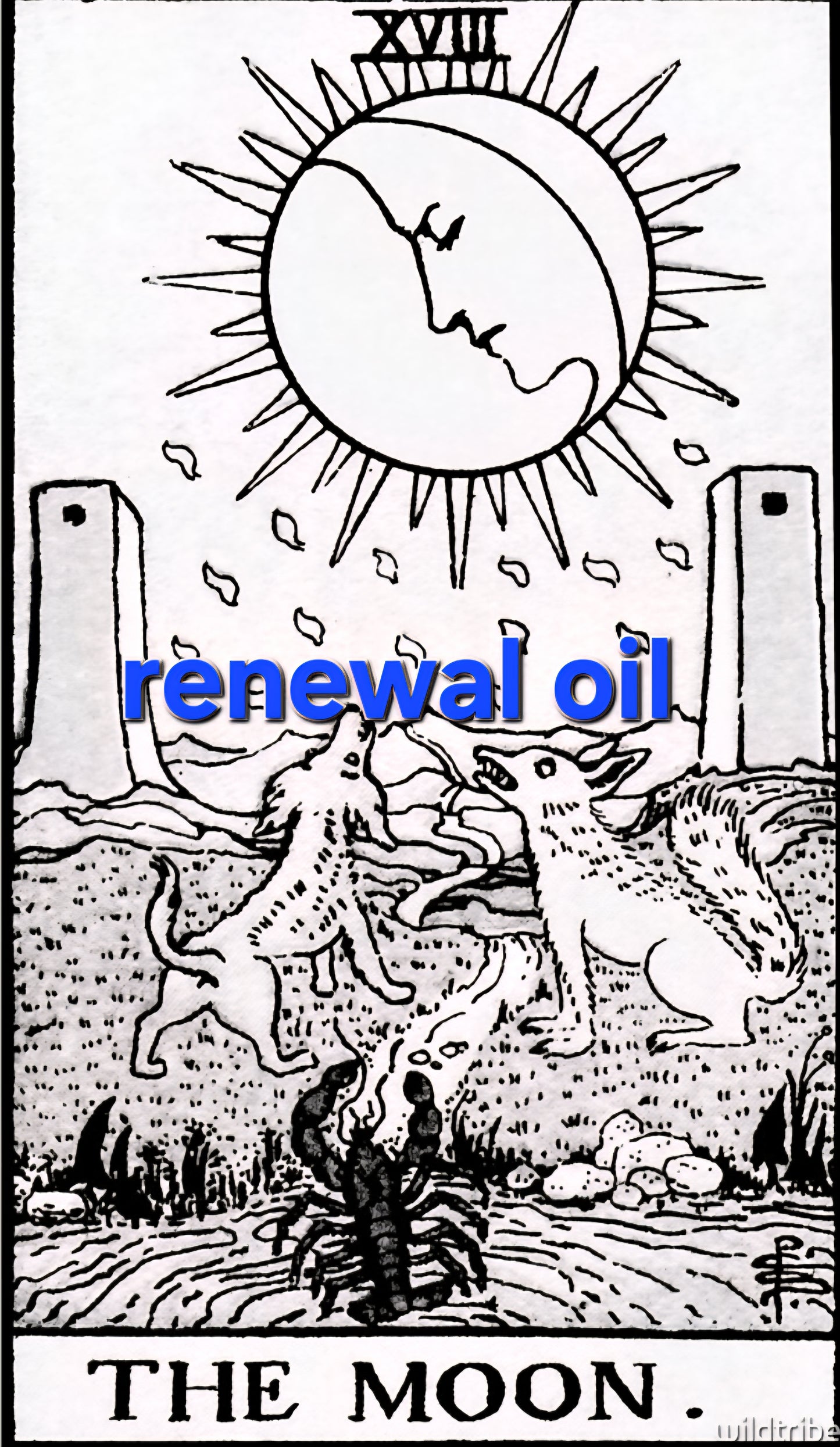 renewal oil