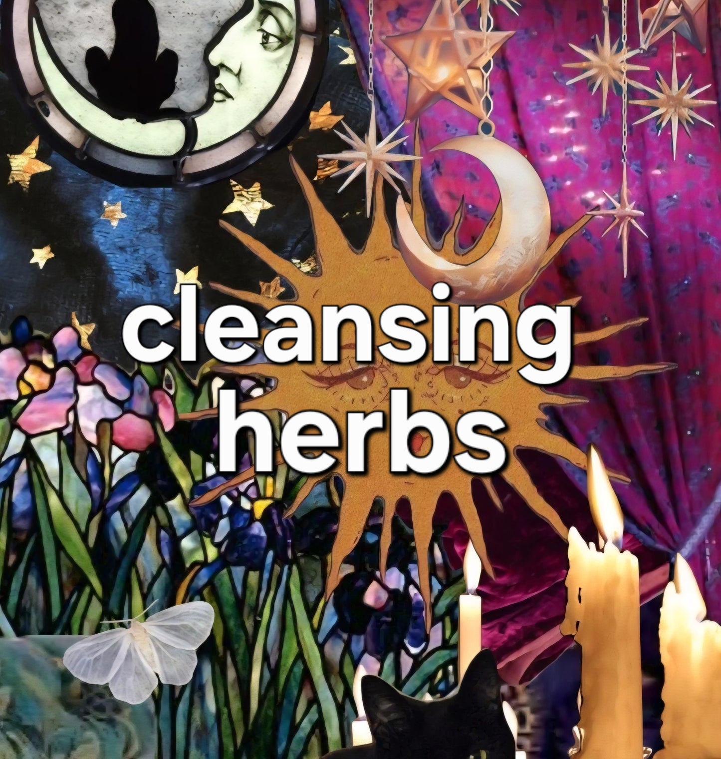 cleansing herbs