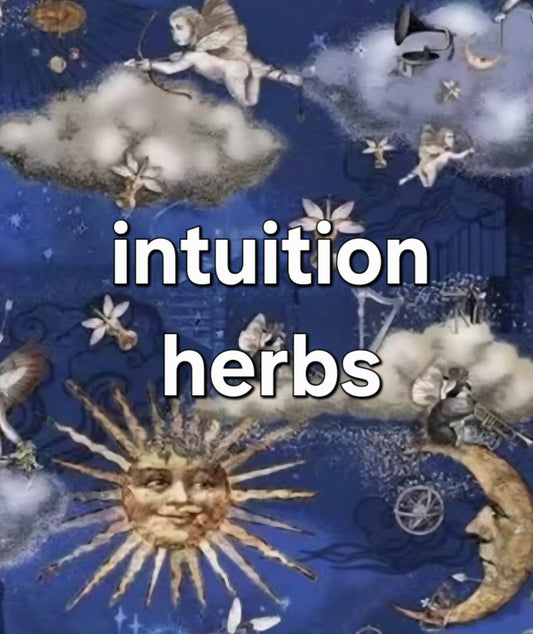 intuition/divination herbs