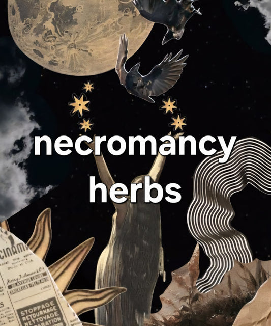necromancy herbs