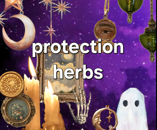protection herbs
